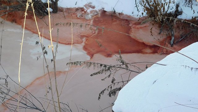 Красные пятеня на поверхности мелиоративных каналов в Тюменском районе  в окрестностях деревни Молчанова. 30 января 2018