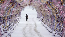 Зима в Москве. Архивное фото Зима в Москве. Архивное фото