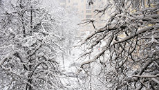 Снегопад. Архивное фото Снегопад. Архивное фото