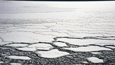 Льдины. Архивное фото Льдины. Архивное фото