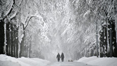 Заснеженная аллея на Воробьевых горах в Москве. Архив Заснеженная аллея на Воробьевых горах в Москве. Архив