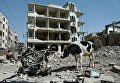 Привязанная корова в Думе, Сирия. 12 марта 2018 года Привязанная корова в Думе, Сирия. 12 марта 2018 года