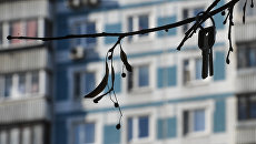 Ключи висят на ветке дерева Ключи висят на ветке дерева