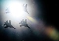 Истребители Су-30СМ пилотажной группы Русские Витязи во время празднования 80-летия Центра показа авиационной техники им. Кожедуба на аэродрома Кубинка в Московской области Истребители Су-30СМ пилотажной группы Русские Витязи во время празднования 80-летия Центра показа авиационной техники им. Кожедуба на аэродрома Кубинка в Московской области