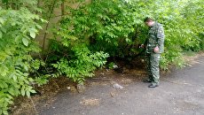 Сотрудник Следственного комитета РФ на месте перестрелки угонщиков автомобиля Infiniti и полицейских в Воронеже. 15 мая 2018 Сотрудник Следственного комитета РФ на месте перестрелки угонщиков автомобиля Infiniti и полицейских в Воронеже. 15 мая 2018