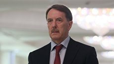 Заместитель председателя правительства РФ Алексей Гордеев. Архивное фото Заместитель председателя правительства РФ Алексей Гордеев. Архивное фото