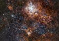 Туманность Тарантула в галактике Большое Магелланово облако Туманность Тарантула в галактике Большое Магелланово облако