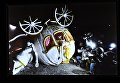 Предпоказ выставки английского уличного художника Бэнкси в Центральном доме художника Предпоказ выставки английского уличного художника Бэнкси в Центральном доме художника