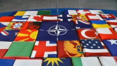 Флаги саммита стран-участниц НАТО в Брюсселе. Архивное фото Флаги саммита стран-участниц НАТО в Брюсселе. Архивное фото