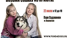 Фестиваль Собаки, которые любят в помощь животным из приютов Фестиваль Собаки, которые любят в помощь животным из приютов