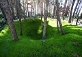 Яма Алапаевской шахты, куда были сброшены члены Дома Романовых и близкие к ним люди Яма Алапаевской шахты, куда были сброшены члены Дома Романовых и близкие к ним люди