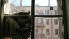Рабочий поселок Погодинская Рабочий поселок Погодинская