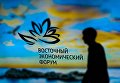 Эмблема IV Восточного экономического форума, проходящего во Владивостоке Эмблема IV Восточного экономического форума, проходящего во Владивостоке