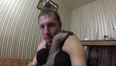 Кадр из видео с канала Гусин на YouTube Кадр из видео с канала Гусин на YouTube