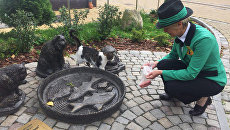 Логунова кормит животных в Котофейне Логунова кормит животных в Котофейне