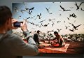 Посетитель на открытии выставки победителей IV международного конкурса фотожурналистики имени Андрея Стенина в Москве Посетитель на открытии выставки победителей IV международного конкурса фотожурналистики имени Андрея Стенина в Москве