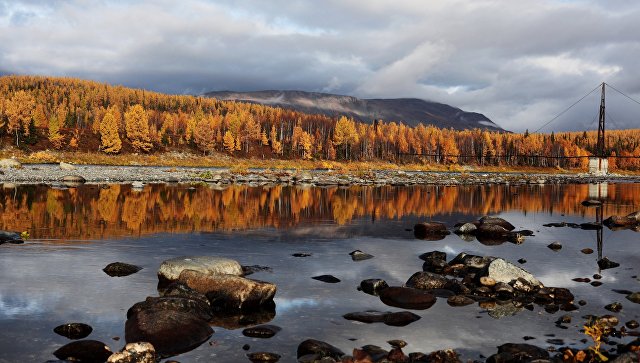 В Сибири создали средство спасения рек от экологических катастроф 