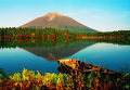 Природа Курильских островов Природа Курильских островов