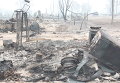 Деревня Криуши Клепиковского района Рязанской области Деревня Криуши Клепиковского района Рязанской области