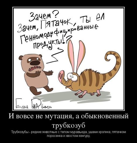 И вовсе не мутация, а обыкновенный трубкозуб И вовсе не мутация, а обыкновенный трубкозуб