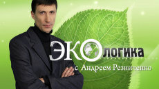 Альтернативные источники энергии: звучит красиво, работает неэффективно Альтернативные источники энергии: звучит красиво, работает неэффективно