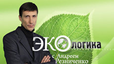 Без зимнего времени спать будем меньше, работать – лучше Без зимнего времени спать будем меньше, работать – лучше