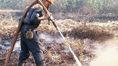Два дачных поселка в Подмосковье едва уберегли от огня Два дачных поселка в Подмосковье едва уберегли от огня