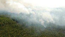 Лесные пожары в Югре Лесные пожары в Югре