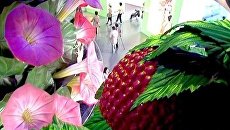 Сказочный город России на ЭКСПО-2010 принимает первых посетителей Сказочный город России на ЭКСПО-2010 принимает первых посетителей