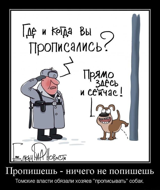 Пропишешь - ничего не попишешь Пропишешь - ничего не попишешь
