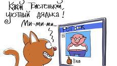 Больше котиков в социальных сетях! Больше котиков в социальных сетях!