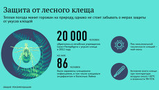 Способы защиты от лесных клещей Способы защиты от лесных клещей