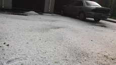 Град в Новосибирске Град в Новосибирске
