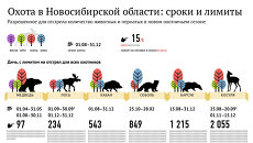 Охота в Новосибирской области: сроки и лимиты Охота в Новосибирской области: сроки и лимиты