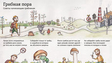 Грибная пора Грибная пора