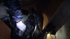 Полицейские нашли оружие и взрывчатку при обыске квартиры в Москве Полицейские нашли оружие и взрывчатку при обыске квартиры в Москве