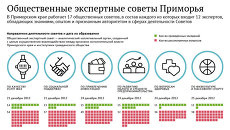 Общественные экспертные советы Приморья Общественные экспертные советы Приморья